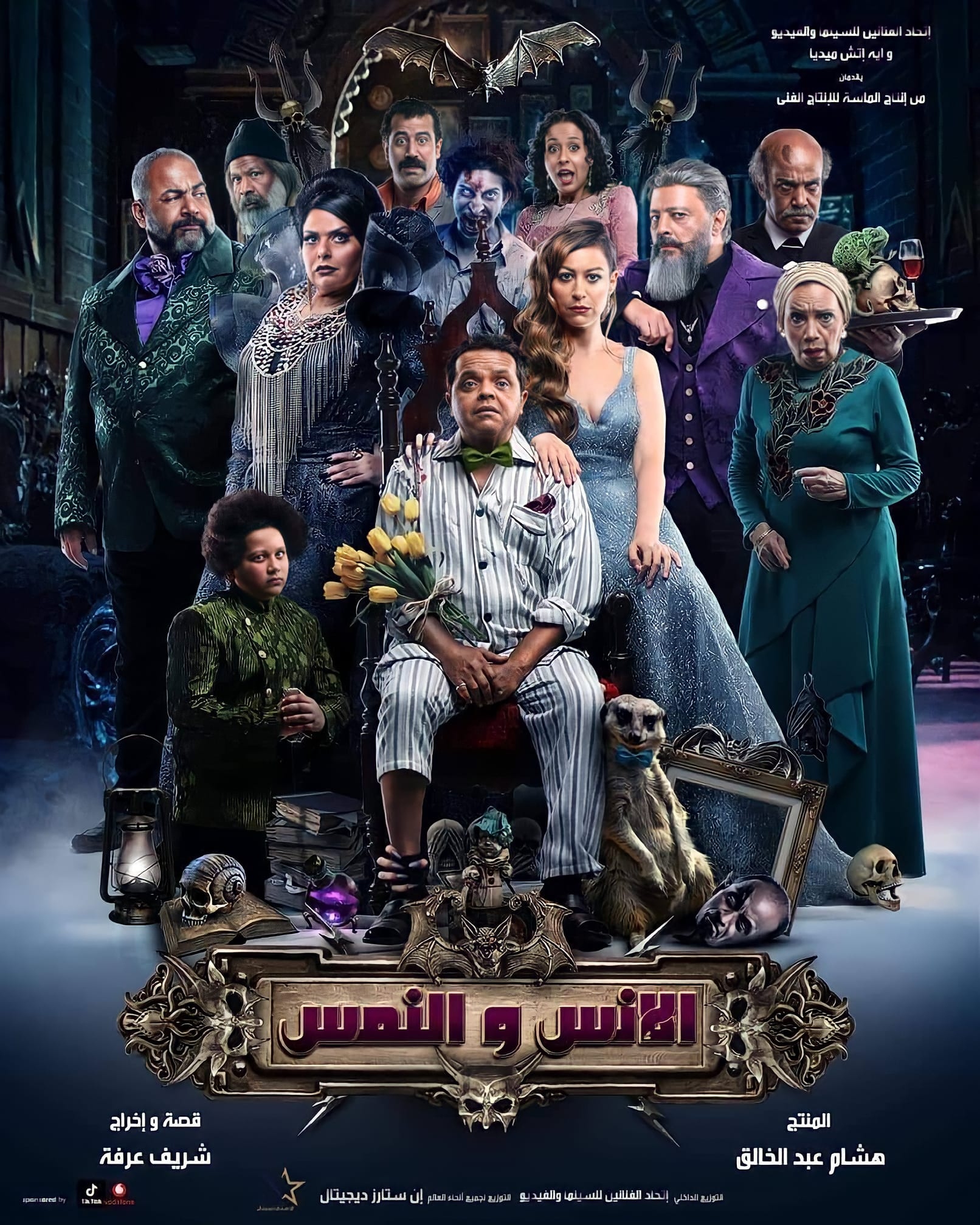بوستر فيلم الأنس والنمس