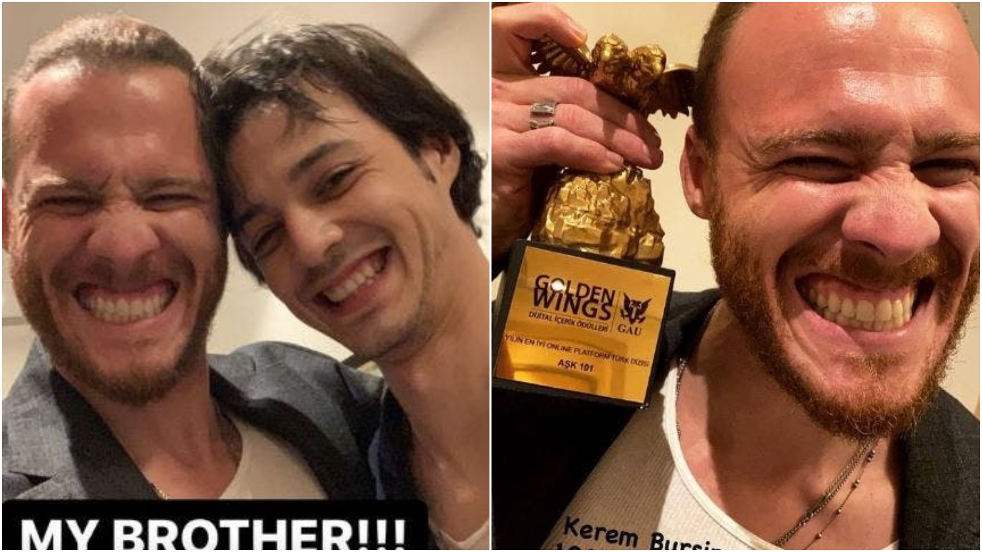 كرم بورسين ومارت