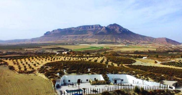 كييفاس هيلينا