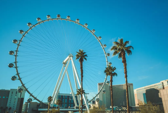 لا تنسي الهاي رولر