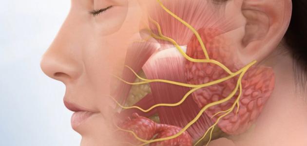 التهاب العصب السابع