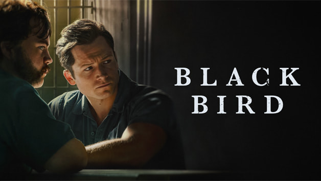 مسلسل Black Bird 