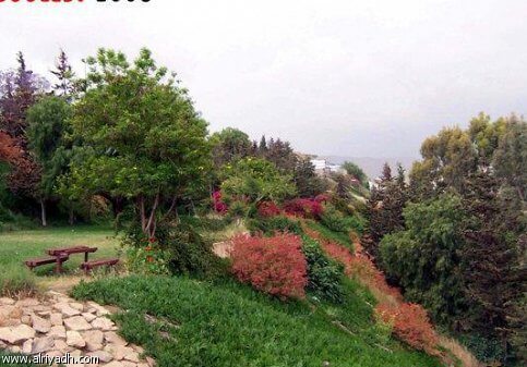 منتزه الفرعاء – ابها