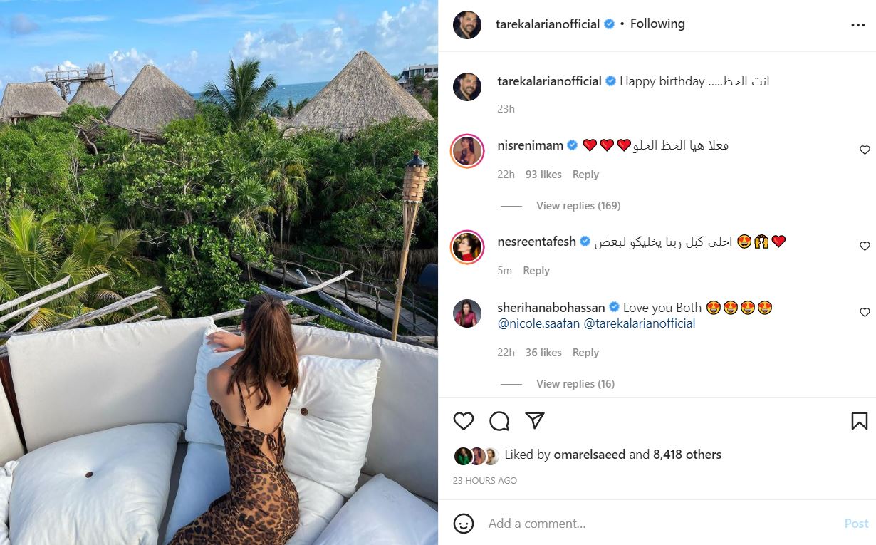 نيكول سعفان