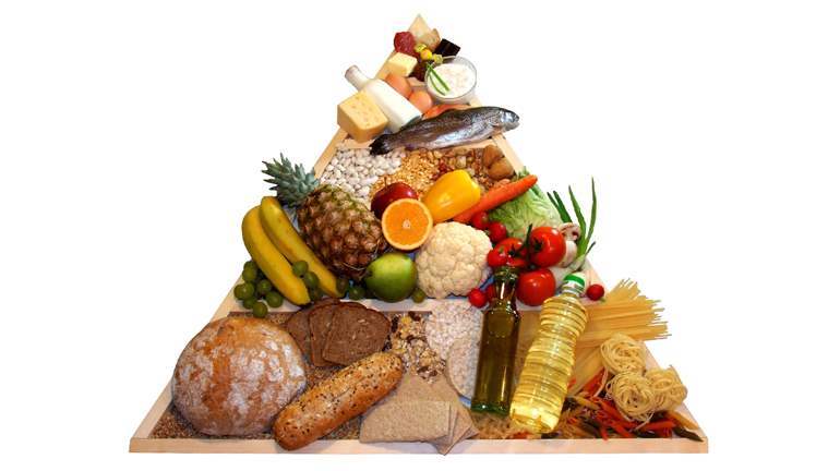  عناصر غذائية لا يمكن الحصول عليها من النباتات