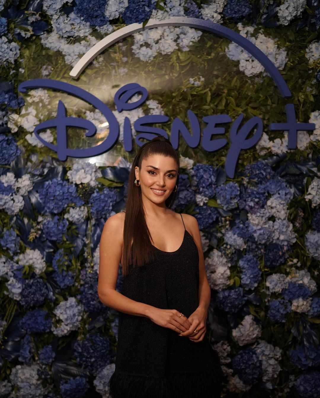 هاند ارتشيل 