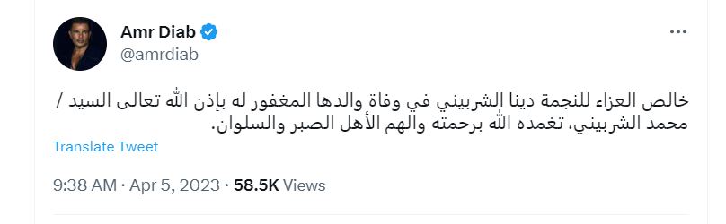 عمرو دياب
