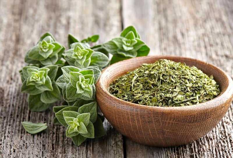 فوائد الزعتر الأخضر