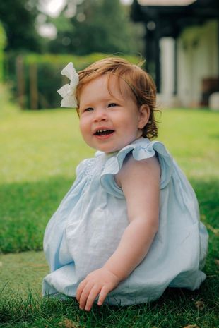 الأمير هاري