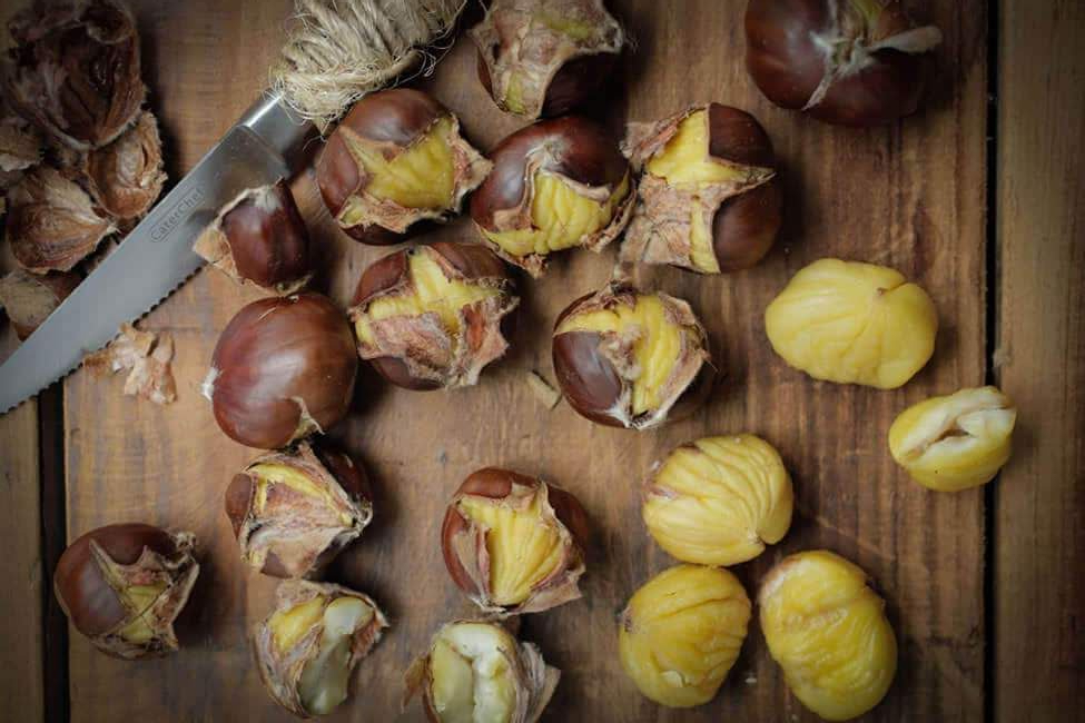 فوائد الكستنا