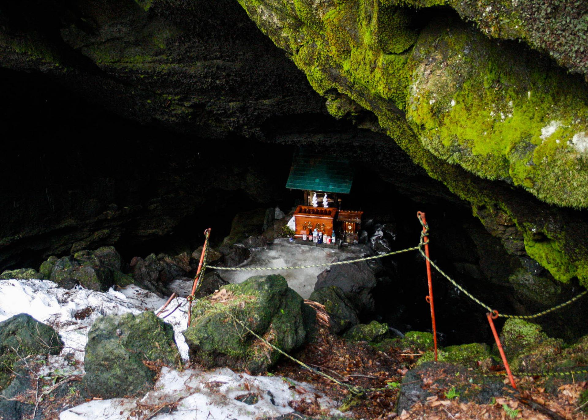 غابة الانتحار