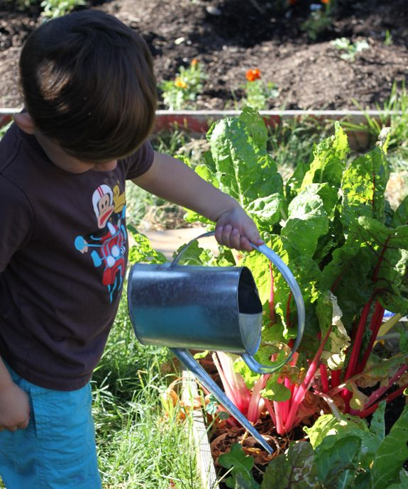 كيف تحفيزين طفلك على العمل التطوعي؟