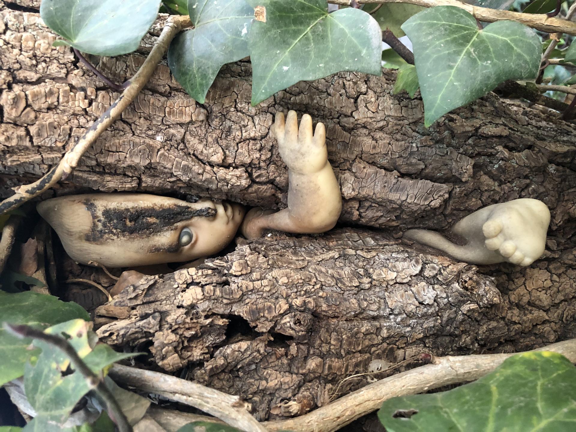 جزيرة الدمى