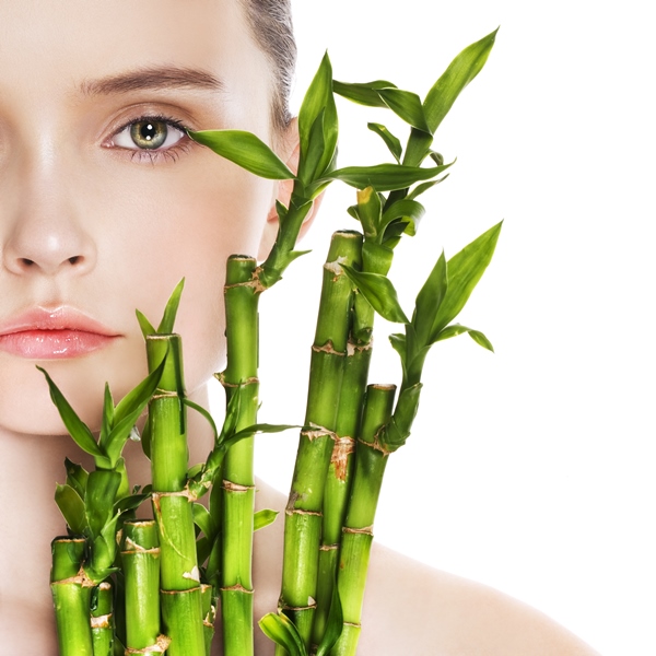 فوائد نبات البامبو للجسم..وطريقة طبخه وتناوله في المنزل