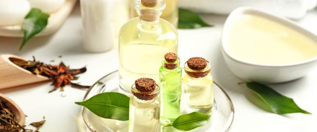 أقوى 7 نباتات طبية مدعومة بالدراسات والأبحاث..تعرفي عليها