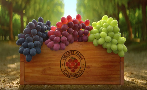 فوائد العنب