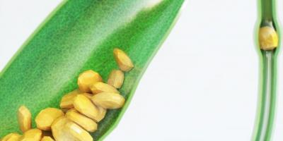 أسباب تكون الحصوات المرارية.. ومن هم الفئة الأكثر عرضة للإصابة؟