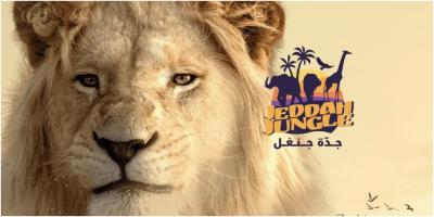 موسم جدة 2022: فعاليات جدة جنغل - طريقة التسجيل