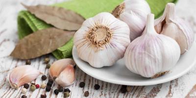 فوائد الثوم في تحسين الصحة الجنسية للرجال.. إليك أبرزها