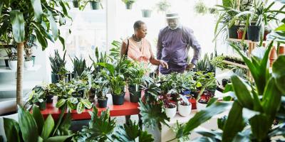 5 نباتات طاردة للحشرات الصيفية المزعجة .. تعرفي عليها