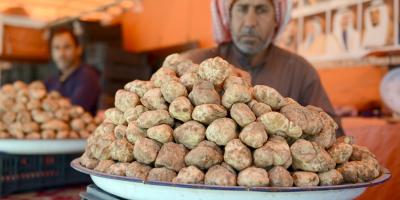 6 من فوائد الكمأة للنساء