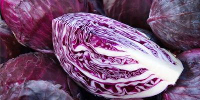 قد يحمي من السرطان.. 8 فوائد صحية مذهلة للملفوف الأحمر