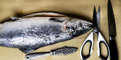 كيف تنظفين السمك؟