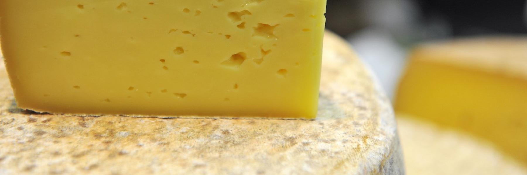 الجبن الرومي المقلي