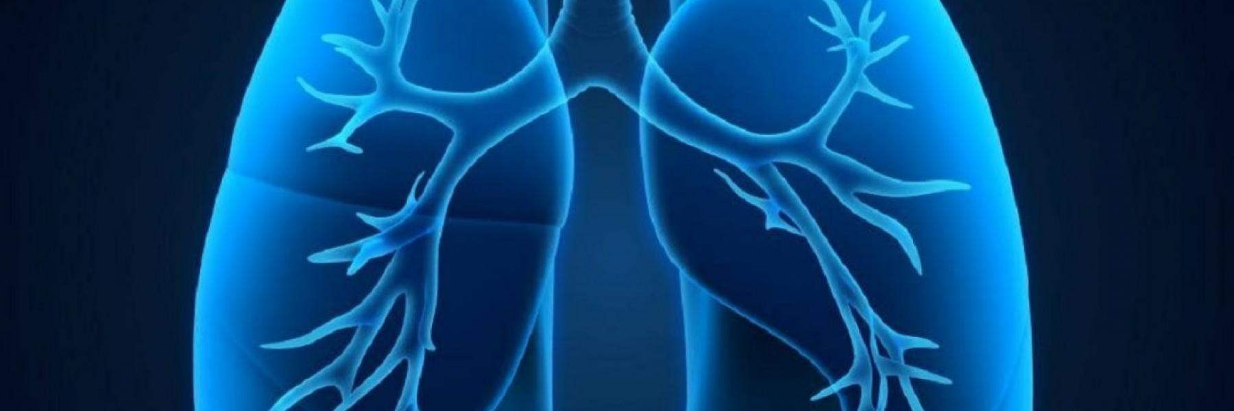 النجاح في الحفاظ على رئة بشرية للمتوفين تمهيداً لزراعتها للمرضي