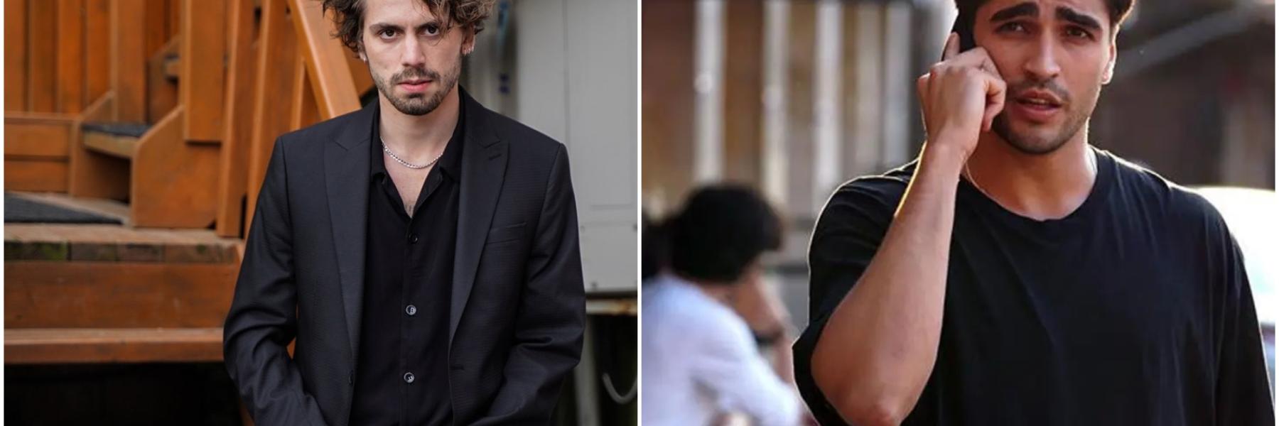 طائر الرفراف