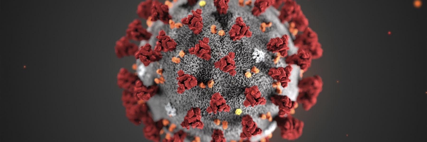 قصة مأساوية .. "كورونا" يقتل 3 أمريكيات من عائلة واحدة (صور)