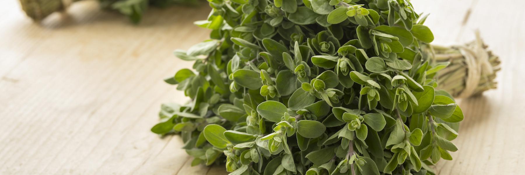 فوائد البردقوش الخاصة بالنساء