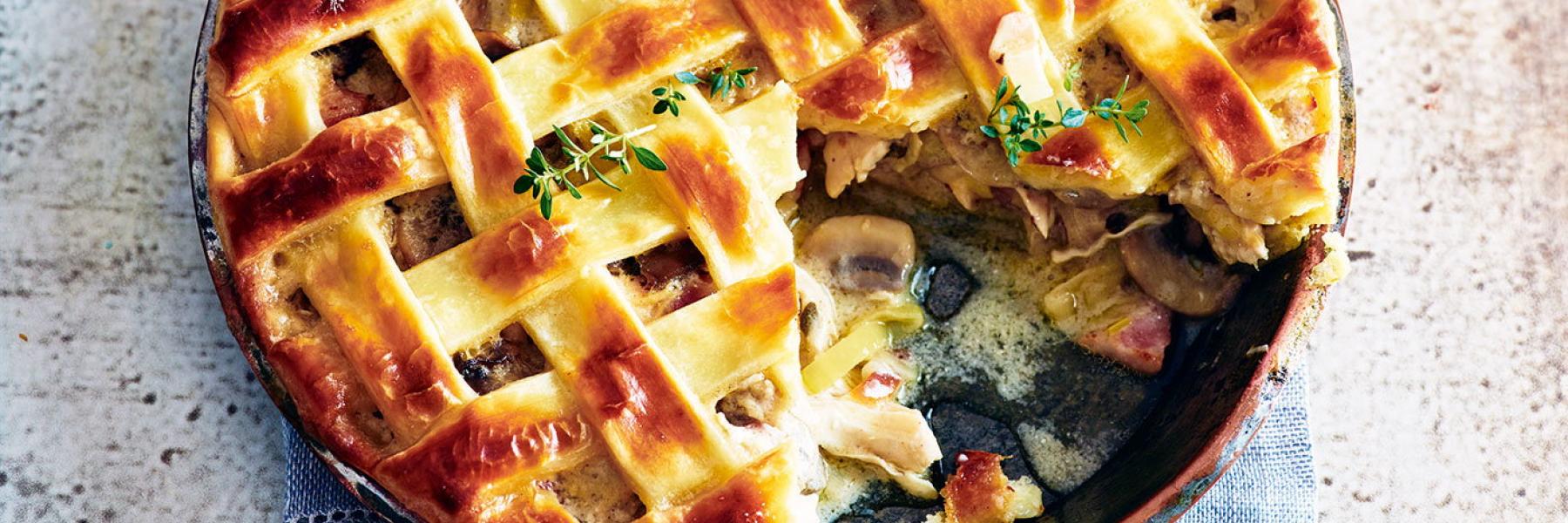 فطيرة الدجاج