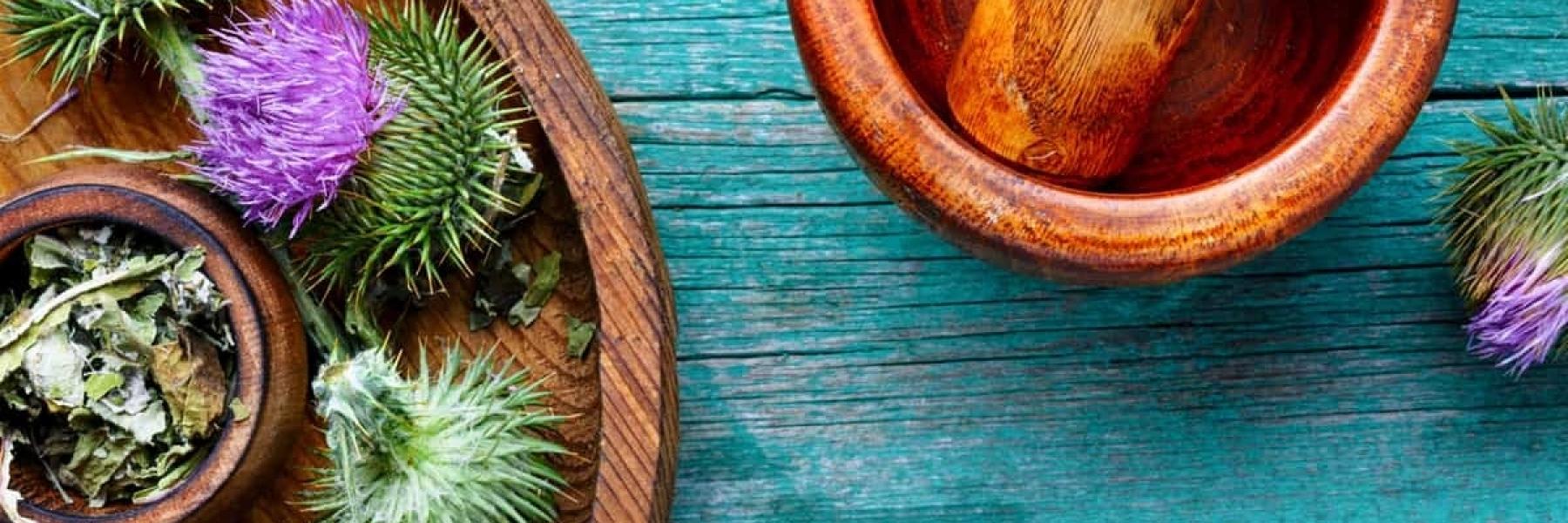 فوائد حليب الشوك