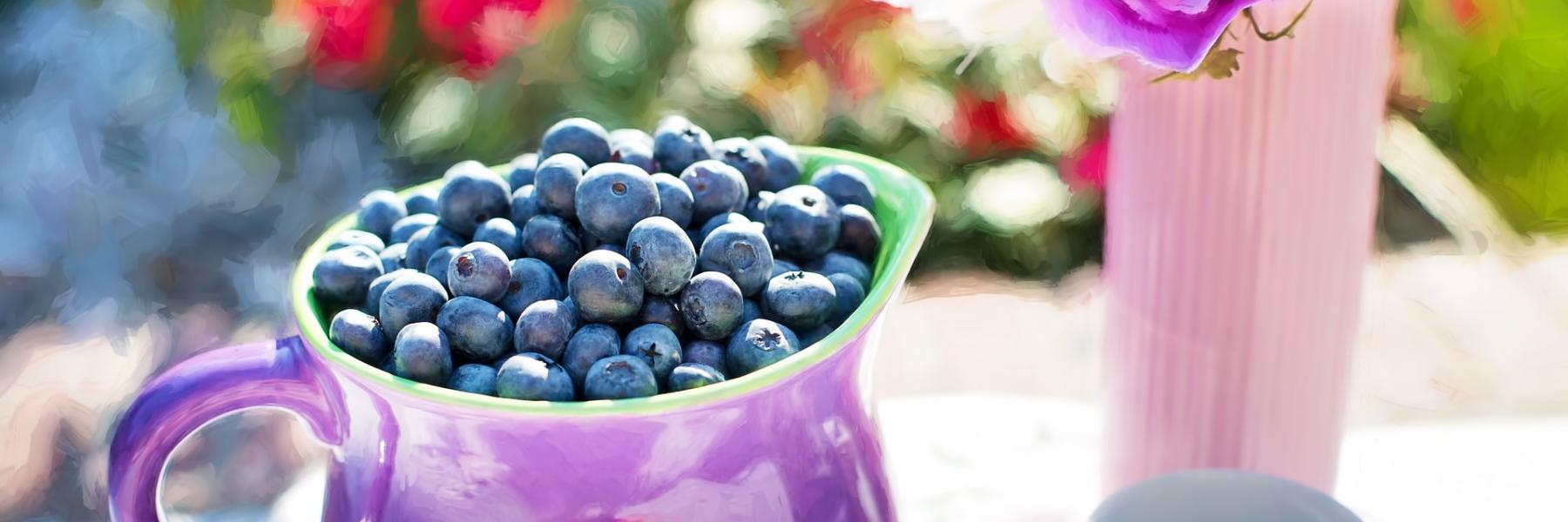 كعكة التوت الأزرق