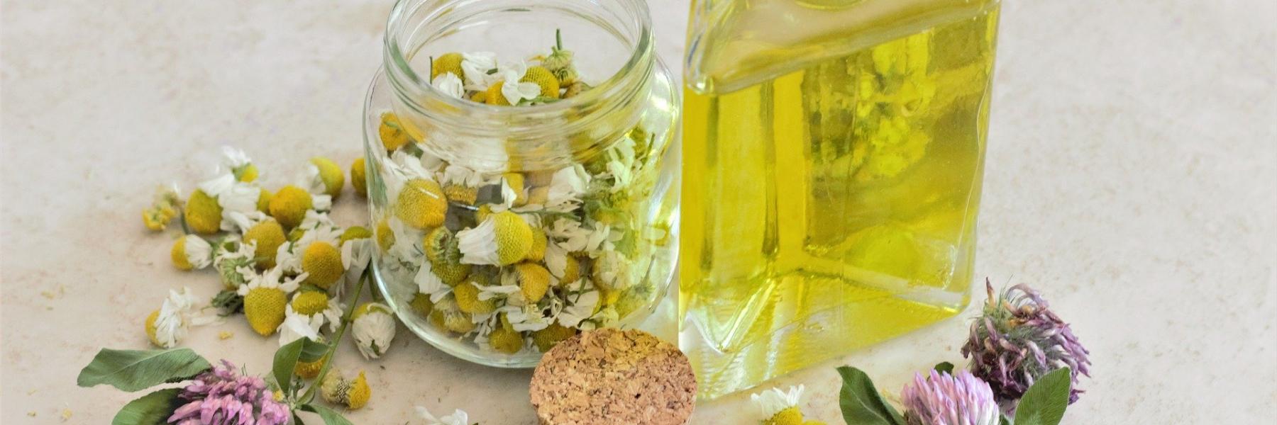 فوائد البابونج للشعر