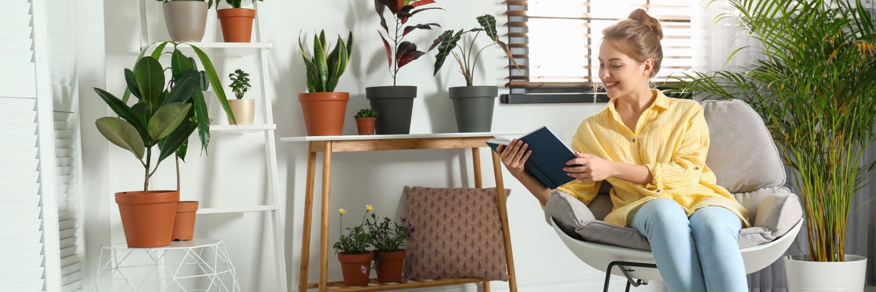 حظك مع الأبراج