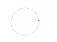 Alighieri: عقد من اللؤلؤ.