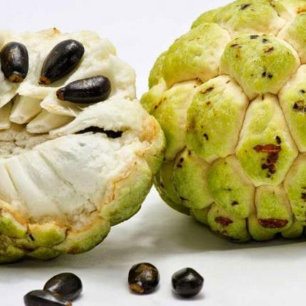 فاكهة القشطة