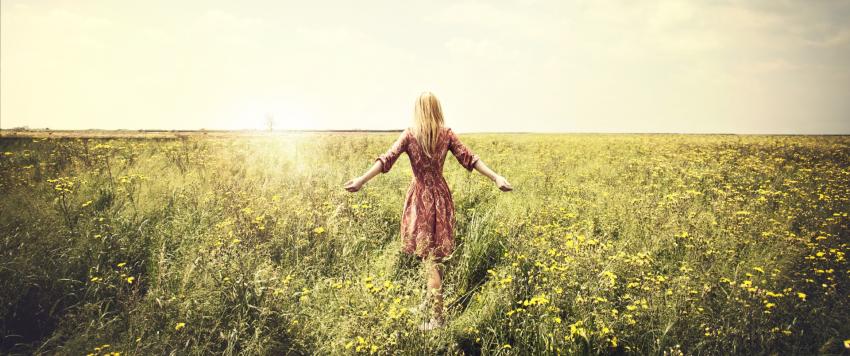 تفسير الأحلام