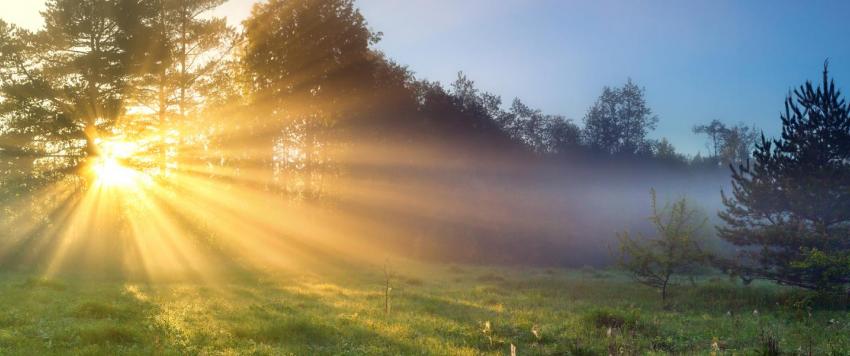البطيخ لـ الشوكولاتة.. أطعمة تمنحك حماية طبيعية من آشعة الشمس