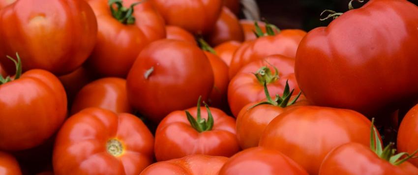 البندورة وتأثيرها على زيادة الصوديوم في الدم