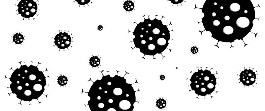 مرض الفطر الأسود