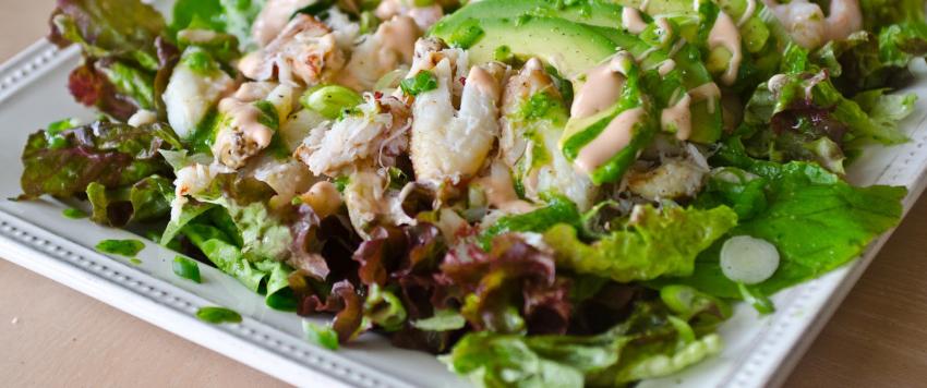 سلطة الكابوريا والبرتقال