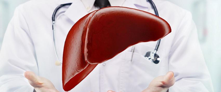 صحة الكبد
