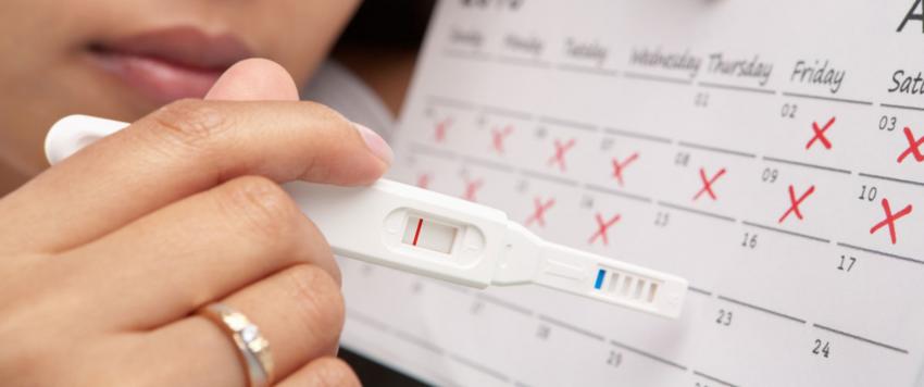 انتظام الدورة