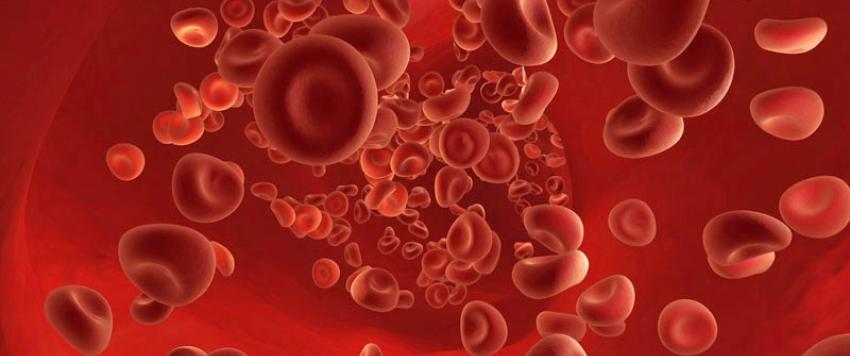 تنقية الدم من السموم