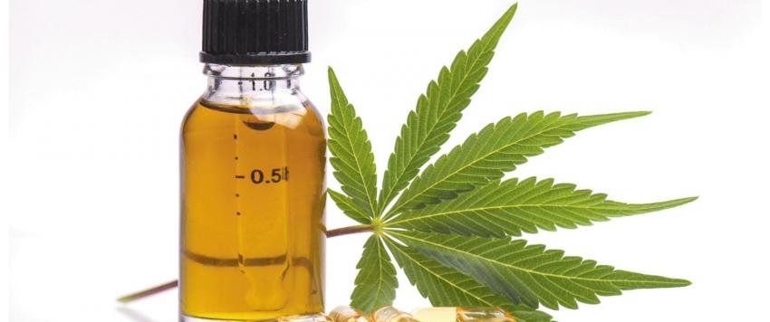 زيت الماريجوانا