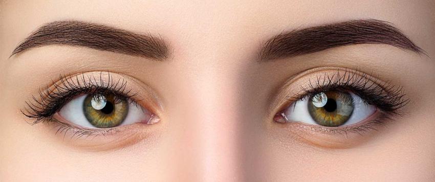 قشرة الحواجب