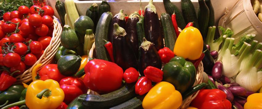 7 عناصر غذائية لا يمكن الحصول عليها من النباتات..تعرفي عليها